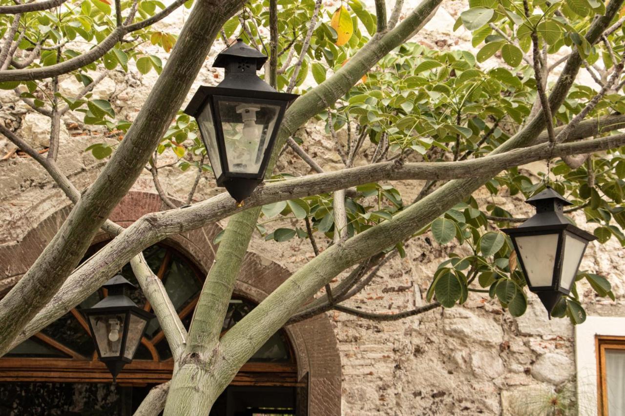 Orchid House Hotel